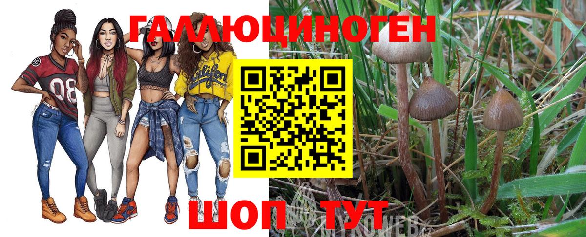 Галлюциногенные грибы GOLDEN TEACHER Воскресенск