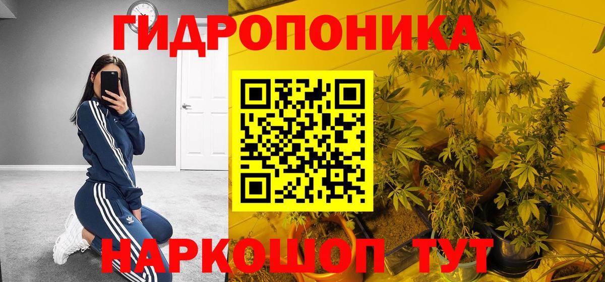 Бошки марихуана Amnesia  Бошки марихуана план  Вход с VPN  Воскресенск  Конопля THC 21%  Шишки марихуана семена 